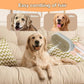 4 in 1 Cat Steam Brush Rechargeable pet spray comb Steam Brush for Cats and Dogs, Massage, Cleaning, Shedding & Combing Multifunctional Hair Removal Anti Static Grooming Tool for home (Beige)