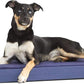 Barkbox Orthopedic Dog Bed with Memory Foam, Premium Comfort for Dogs and Puppies, Dog Bed for Joint Relief and Restful Sleep, Durable and Easy to Clean - Navy, Medium