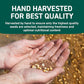 HANDPICK Flax Seed (2 lb) | Gluten Free Brown Seeds | Raw Seeds Sourced from India | Grinds easily, Gels perfectly | Resealable Zip Lock Pouch