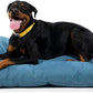 K9 Ballistics Tough Rectangle Pillow XL Dog Bed - Removable Cover, Washable, Durable & Water Resistant Dog Bed Made for X-Large Dogs 54"x38", Blue Quartz
