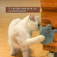 Cat Pet Self Grooming Comb Brush - Multi Functional Catnip Flavor Corner Massage Glove Tool for Kitten Puppy Relaxing, Extra Soft Silicone Pins Handy Hair Shedding Trimming