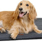 Made4Pets Dog Crate Pad Bed for Large Dogs, Washable & Reversible, Anti-Slip Kennel Mat for Cozy Sleeping, Soft Fluffy Dog Bed for Indoor & Outdoor Use, 36"x27", Dark Gray