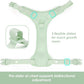 No Pull Dog Harness, Puppy Vest with Front Clip for Small Medium Large Sized Dog(Light Green,M)