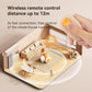 Cat Toys for Bored Indoor Adult Cats,Remote Control Cat Toy with 4 Directions,LED Lights Interactive Remote Control Dog Toy (Orange)