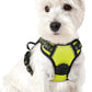rabbitgoo Dog Harness No Pull with 2 Leash Clips, Adjustable Soft Padded, Reflective Oxford No Choke Pet Vest with Easy Control Handle for Puppy, Green, XS
