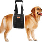 Adjustable Dog Lift Harness Dog Sling for Large Dogs Hind Leg Support Soft Lift Support and Rehab Harness for Weak Rear Legs, Helps Senior, Injured, Disabled and After ACL Surgery Dogs Large