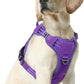 rabbitgoo Dog Harness Medium Sized No Pull, Tactical Service Pet Vest with Molle and Control Handle, Adjustable and Reflective Military Harness for Easy Walking and Training, Purple, M