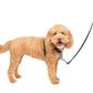 PetSafe 3 in 1 Dog Harness - No Pull Solution for Dogs - Reflective Dog Harness - Front D-Ring Clip Helps Stop Pulling - Comfortable Padded Straps - Top Handle Enhances Control - Black - Small