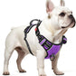 Timos Dog Harness Small Sized, No Pull with Neck Lockable Snap,No Choke Front Clip Dog Reflective Harness,Adjustable Metal Rings 3 Buckles,Easy Control Handle for Small Dogs Purple S