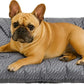 FUNNY FUZZY 30x20 Washable Dog Bed Crate Mat, 2 in1 Pet Pillow Sleeping Bed, Fluffy Deluxe Kennel Mattress for Medium Dog and Cat,Charcoal Grey,M