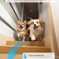 blurams Pet Camera 2K, 360° Dog Camera with Phone App, PTZ Indoor Cameras for Home Security Indoor, 2-Way Audio, Motion Tracking, Color/IR Night Vision, Siren, Cloud&SD(2.4GHz Only)