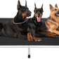 Veehoo Chew Proof Elevated Dog Bed - Cooling Raised Pet Cot - Silver Aluminum Frame and Durable Teslin Mesh Fabric, Unique Designed No-Slip Feet for Indoor or Outdoor Use, Black, XX-Large, CWC2003