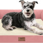Small Dog Bed Waterproof Orthopedic Dog Beds for Medium Sized Dogs Comfy Pet Cat Bed with Sides, Washable Removable Cover