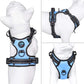 PHOEPET No Pull Dog Harness Reflective Adjustable with 2 Metal Leash Hooks and Soft Training Handle [Over The Head Design](L, Baby Blue)