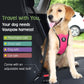 Dog Seat Belt, Safety Vest Dog Car Harness with Adjustable Buckle Dog Seat Belt for Vehicle Nylon Pet Safety Seat Belts Heavy Duty(S, Magenta)