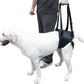Dog Lift Harness for Dogs with Disabled Arthritis and Weak Back Legs, humanized Design with Comfortable Materials, Adjustable Back Legs and Straps, Suitable for Helping Dogs to Recover and Walk. (L)