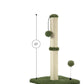 MECOOL Cat Scratching Post Premium Basics Kitten Scratcher Sisal Scratch Posts with Hanging Ball 22in for Kittens or Smaller Cats, Cactus Green