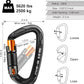 Climbing Carabiner Clips 25kN Auto Locking Carabiner, Professional Heavy Duty Large Locking Carabiner Clips for Rock/Ice Climbing Rappelling Rescue Swing etc, D Shaped, Large Size