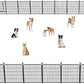 Dog Playpen 32 inch 40 Panels Indoor Outdoor Dog Pen for Medium/Small Dogs Heavy Duty Metal Dog Fence Outdoor for Yard, Puppy Playpen with Door Portable Pet Fence for RV Camping Yard