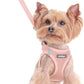 rabbitgoo Dog Harness Small Sized and Leash Set, Step in Soft Light Puppy Vest, Breathable Mesh Pet Harness, Reflective for Safe Outdoor Walking, Pink XXS