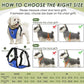 SlowTon Dog Seat Belt Harness for Car, Dog Car Harness Adjustable Mesh Breathable & Dog Seatbelt Safety Tether with Elastic Bungee for Small Medium Large Pets(Blue, Double Clip, XXXS)
