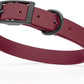 Dogline Biothane Waterproof Dog Collar Strong Coated Nylon Webbing with Black Hardware Odor- Proof for Easy Care Easy to Clean High Performance Fits Small Medium or Large Dogs, Merlot Burgundy