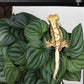 Reptile Plants for Terrarium, Amphibian Habitat Decor Artificial Hanging Plants with Suction Cup - Fake Calathea Orbifolia