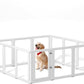 Citylife Clear Acrylic Plastic Dog Playpen Indoor,for Puppy Cat Rabbit Ferret Transparent Pet Pen,Easy Assemble Whelping Crate Kennel Cage Enclosure for Small & Medium Dogs 12 Panels