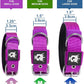 TSPRO Tactical Dog Collar 1.5 Inch Wide Thick Dog Collars with Heavy Duty Metal Buckle, Durable, Strong, Adjustable for Medium to Large Dogs (Rainbow L)