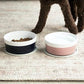 Waggo Dipper Ceramic Dog Bowl for Small and Large Breeds - Heavyweight and Durable Pet Food and Water Dish Crock, Dishwasher Safe, Modern (Dolphin, Large)
