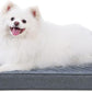 KSIIA Orthopedic Dog Bed for Medium Size Dog，Washable Pet Sofa with U-Shaped Bolster Removable Waterproof Cover Non-Slip Bottom and Egg-Crate Orthopedic Foam Pet Couch Bed, 35 x 22 Inch, Dark Gray