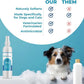 Replenish Antiseptic Spray for Dogs – Medicated Anti Itch Spray for Pets – Chlorhexidine & Ketoconazole Pet Spray – Dog Itching Skin Relief - Antiseptic Spray for Cats Skin Allergy – 8 oz