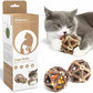 Potaroma Catnip Toys, 3Pcs Cat Toys Natural Silvervine Stick Cage Balls & Bell Ball for Indoor Cats, Kitten Cleaning Teeth Molar Matatabi Cat Chew Toy All Breeds