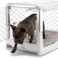 DIGGS Revol Collapsible Dog Crate with Wheels - Premium Portable Dog Crate - Safe, Stylish, and Convenient Indoor Kennel (Ash, Small)
