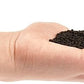 LANDEN THRIVA Natural Soil Substrate for Natural Planted Aquarium, Plant or Shrimp Stratum, Clay Gravel and Stable Porous Substrate for Freshwater Aquarium, Rainforest Black 5L(10lbs),Small Size