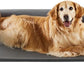 RRPETHOME Large Elevated Cooling Dog Bed, Raised Pet Cot Beds for Large Dogs, Elevated Outdoor Dog Bed, Chew Proof Portable Cooling Pet Cot with Skid-Resistant Feet and Breathable Mesh