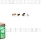 FXW Rollick Unleashed Dog Playpen for Indoor, Yard, RV Camping, 24 inch 48 Panels for Small and Puppy Dogs, White│Patented