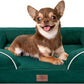 Comfort Expression Small Dog Beds Waterproof Orthopedic Foam Dog Sofa Beds for Small Dogs Comfy Pet Bed with Washable Removable Cover & Non-Slip Bottom(X-Small,Emerald)