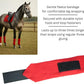 Horse Leg Bandage/Horse Leg wrap (Set of 4) Red, Blue, Navy Blue, and Black (RED)