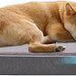 Cooling Dog Beds for Large Dogs, Orthopedic Memory Foam Dog Bed, Large Pet Beds with Washable Cover, Ideal for Arthritic Dogs Up to 65Lbs