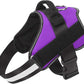 Bolux Dog Harness, No-Pull Reflective Dog Vest, Breathable Adjustable Pet Harness with Handle for Outdoor Walking - No More Pulling, Tugging or Choking (Purple, L)