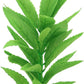2-Pack 12 Inch Aquarium Silk Aquarium Plants, Artificial Plastic Plant for Small Tank, Goldfish, Fish Hides (Green A, 12 Inch)