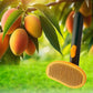 Self-Cleaning Dog & Cat Slicker Brush, Skin Friendly Deshedding Grooming Tool for Long or Short Haired Dogs Cats Rabbits, Dog Shedding Brush with Release Button - Mango