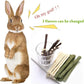 600g Guinea Pig and Rabbit Chew Toys - Sweet Bamboo and Timothy Apple Sticks for Healthy Teeth and Relaxation - Natural and Safe Guinea Pig Chew Toys