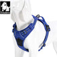 TRUE LOVE Adjustable No-Pull Dog Harness Reflective Pup Vest Harnesses Comfortable Control Brilliant Colors Truelove TLH5651(Royal Blue,XS)