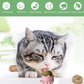 Oncpcare 3 Pack Rotatable Edible Catnip Balls for Cats Wall Cat Mints Ball Toys for Indoor Cats Cat Removal Hairball Toys Catnip Balls Treats for Kitten Kitty Playing Chewing