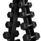 RitFit 5-650 LBS PVC Encased Hex Dumbbell Sets with Optional Rack for Home Gym, Hand weight with Chrome Handle for Strength Training, Workouts