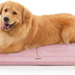 MADE 4 PETS Dog Crate Pad Bed for Large Dogs, Washable & Reversible, Anti-Slip Kennel Mat for Cozy Sleeping, Soft Fluffy Dog Bed for Indoor & Outdoor Use, 41"x29", Pink