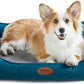 Orthopedic Dog Beds for Medium Dogs, Durable Egg Crate Foam Sofa Dog Bed wit Washable Removable Cover,Waterproof Lining,Pet Bed for Large Dogs (Peacock Blue, 31.5" L x 25.2" W x 7" Th)