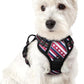 rabbitgoo Dog Harness No Pull with 2 Leash Clips, Adjustable Soft Padded, Reflective Oxford No Choke Pet Vest with Easy Control Handle for Large Dogs, Red Stripe, XS